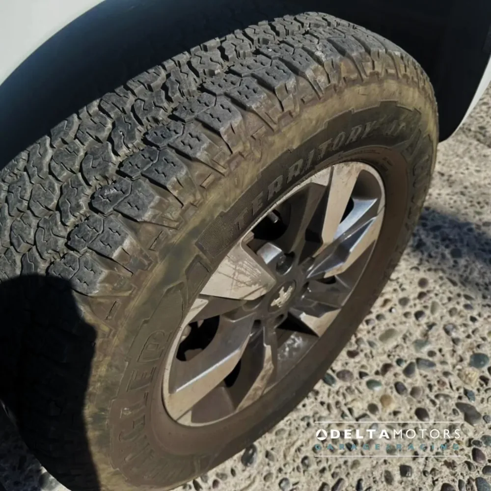 Peugeot Landtrek BlueH 2024 — Delta Motors