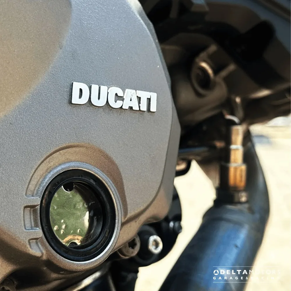 Ducati Monster 2022 — Delta Motors